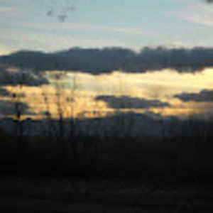 Meet your Posher, Charolette